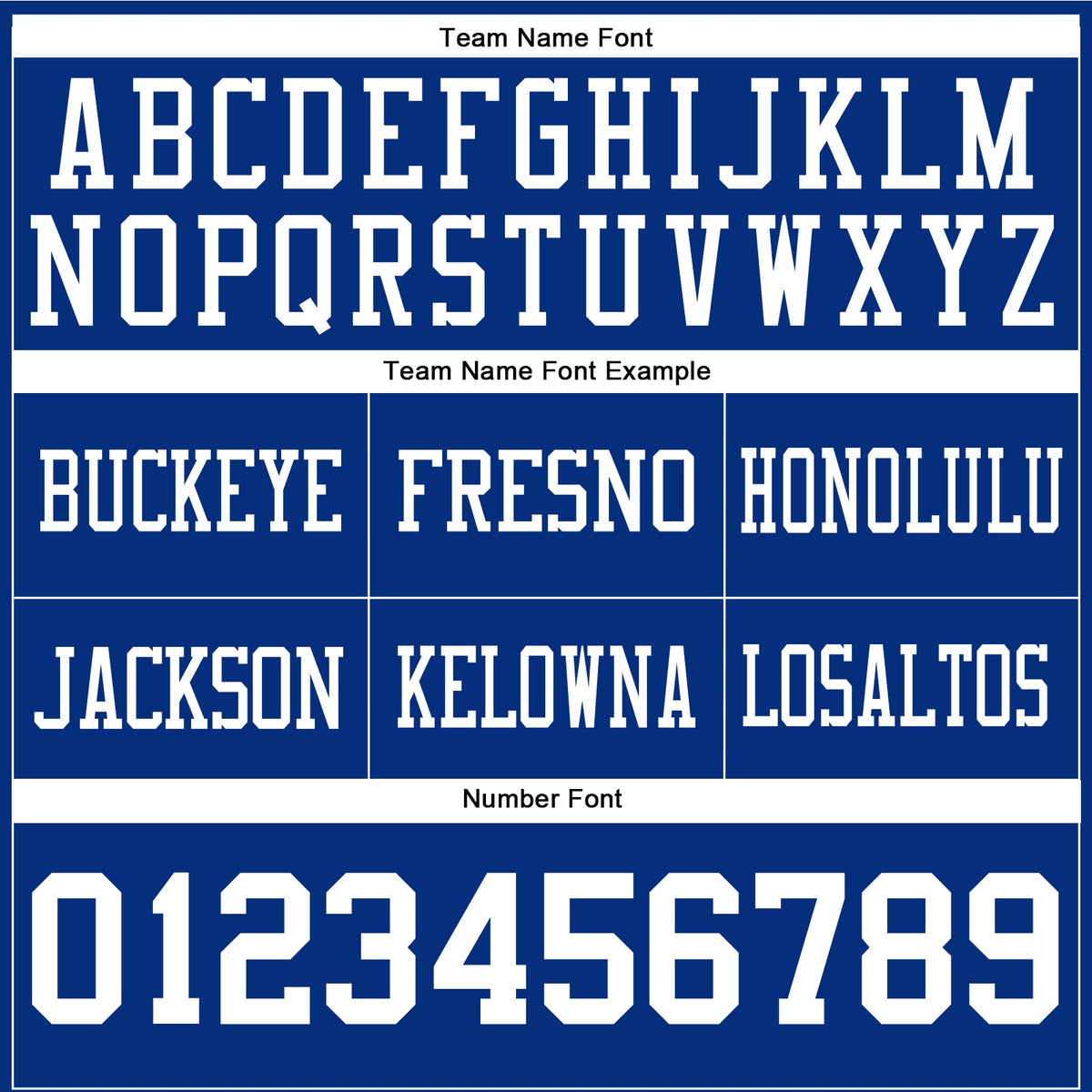 Custom Royal White Authentic Football Jersey - Detail
